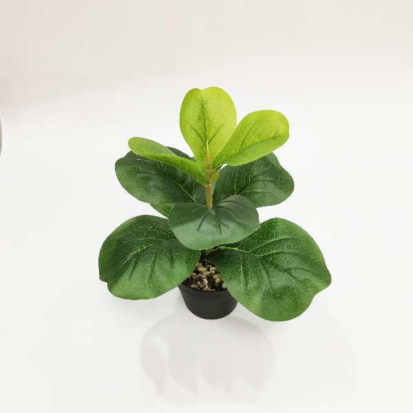 Cây Bàng Singapore Mini Cao 35cm - Cây Hoa Giả Trang Trí Lizflower [Không Kèm Chậu