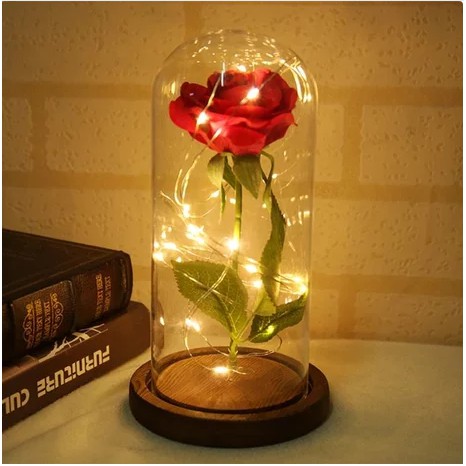 10 mét Dây đèn Fairy Light 100 bóng kèm 3pin AA