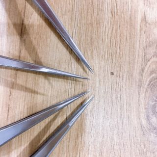 50 Cây Nhíp Nhặt Lông Yến Thẳng Siêu Nhọn Hàng Vetus Chính Hãng Inox Toàn Phần