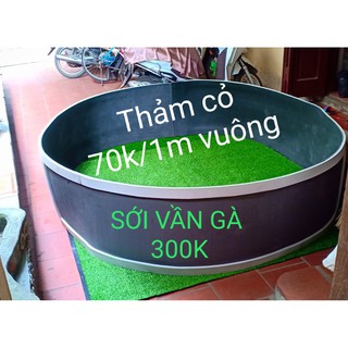 sới vần gà