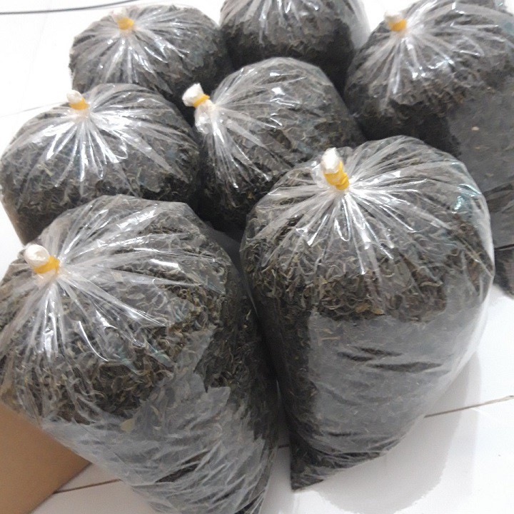 [Nhà Làm Thủ Công] 1kg Trà Bắc Đầu Mùa Tuyển Chọn Búp | BigBuy360 - bigbuy360.vn