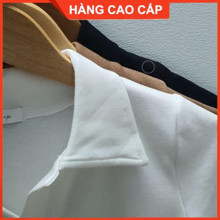 Áo Croptop Cổ Trụ PLO Tay Ngắn Dáng Ôm Ulzzang, Áo Croptop Có Cổ - [HÀNG CAO CẤP] | BigBuy360 - bigbuy360.vn
