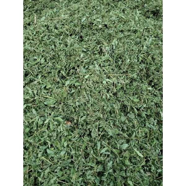 Trà cỏ ngọt 500gr nguyên chất