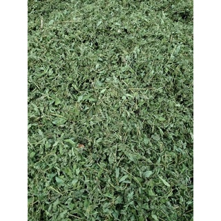 Trà cỏ ngọt 500gr nguyên chất uống trà