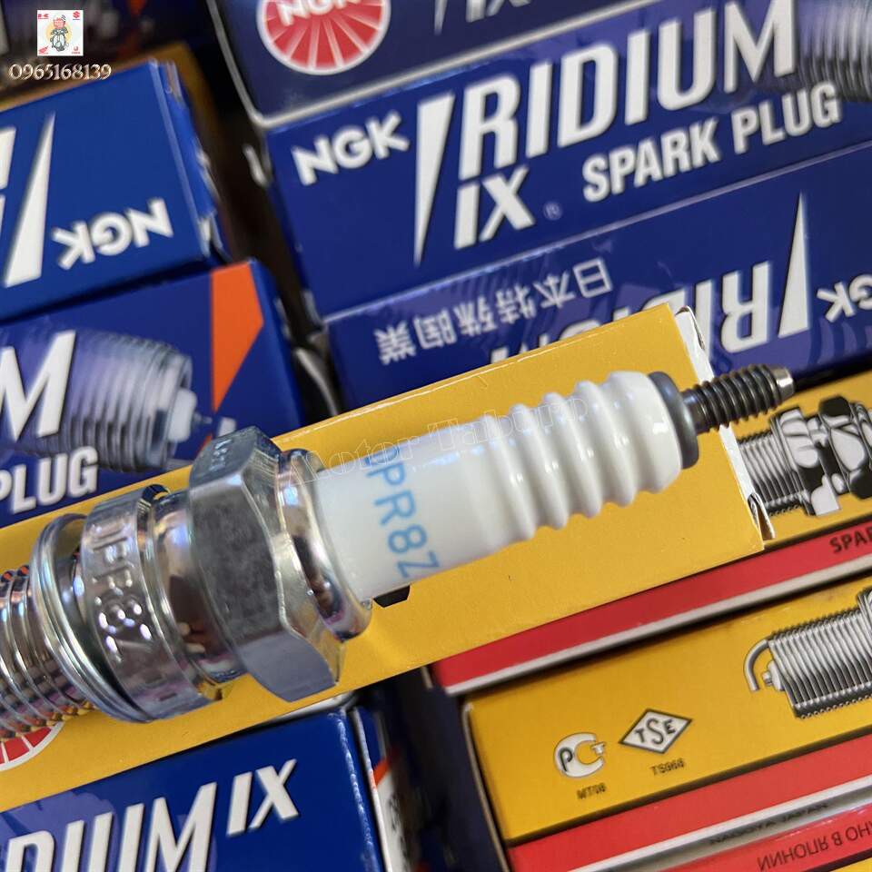 Bugi NGK Standard DPR8Z