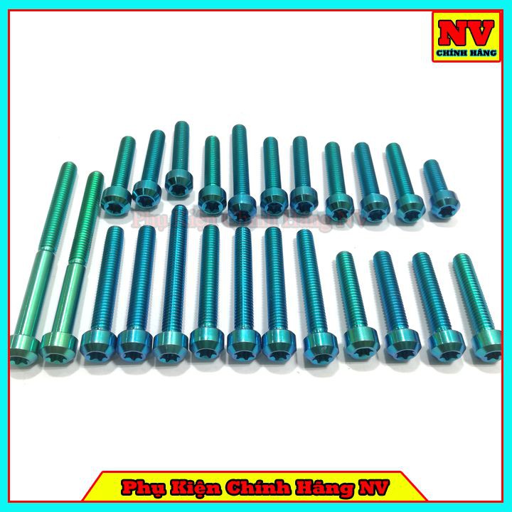 Bộ Ốc Lốc Máy Raider Xăng Cơ Gr5 Full Bộ 24 Con