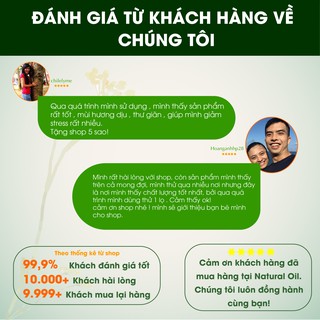 Tinh Dầu Treo Vỏ Quế - 8ml