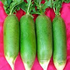 2 gr hạt giống củ cải đường xanh ngọt