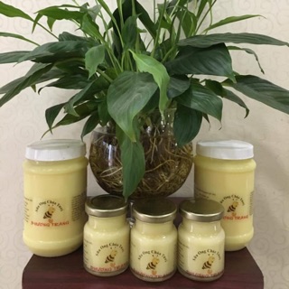 Sữa ong chúa tươi hũ 100g
