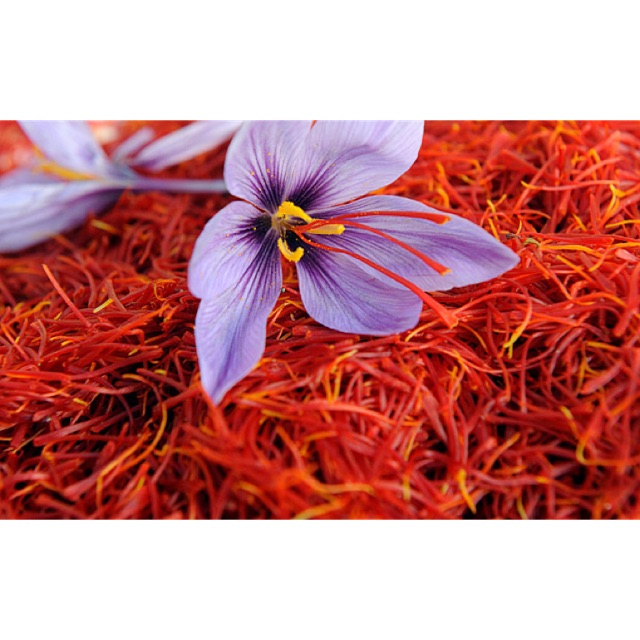 Saffron Tây Ban Nha Extra Quality