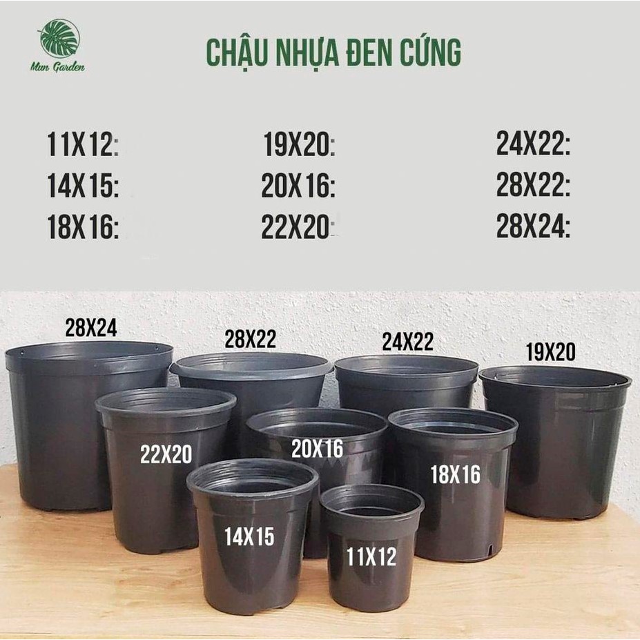 Chậu nhựa đen cứng cao cấp THAKICO đủ size dành cho kiểng lá
