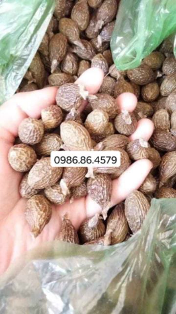 Hạt ươi (hột đười ươi) kon tum 1kg hút chân không | BigBuy360 - bigbuy360.vn