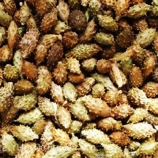 1kg hạt ké đầu ngựa