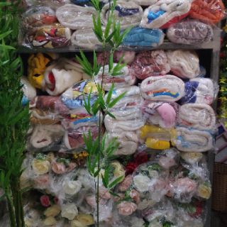 Cây trúc giả