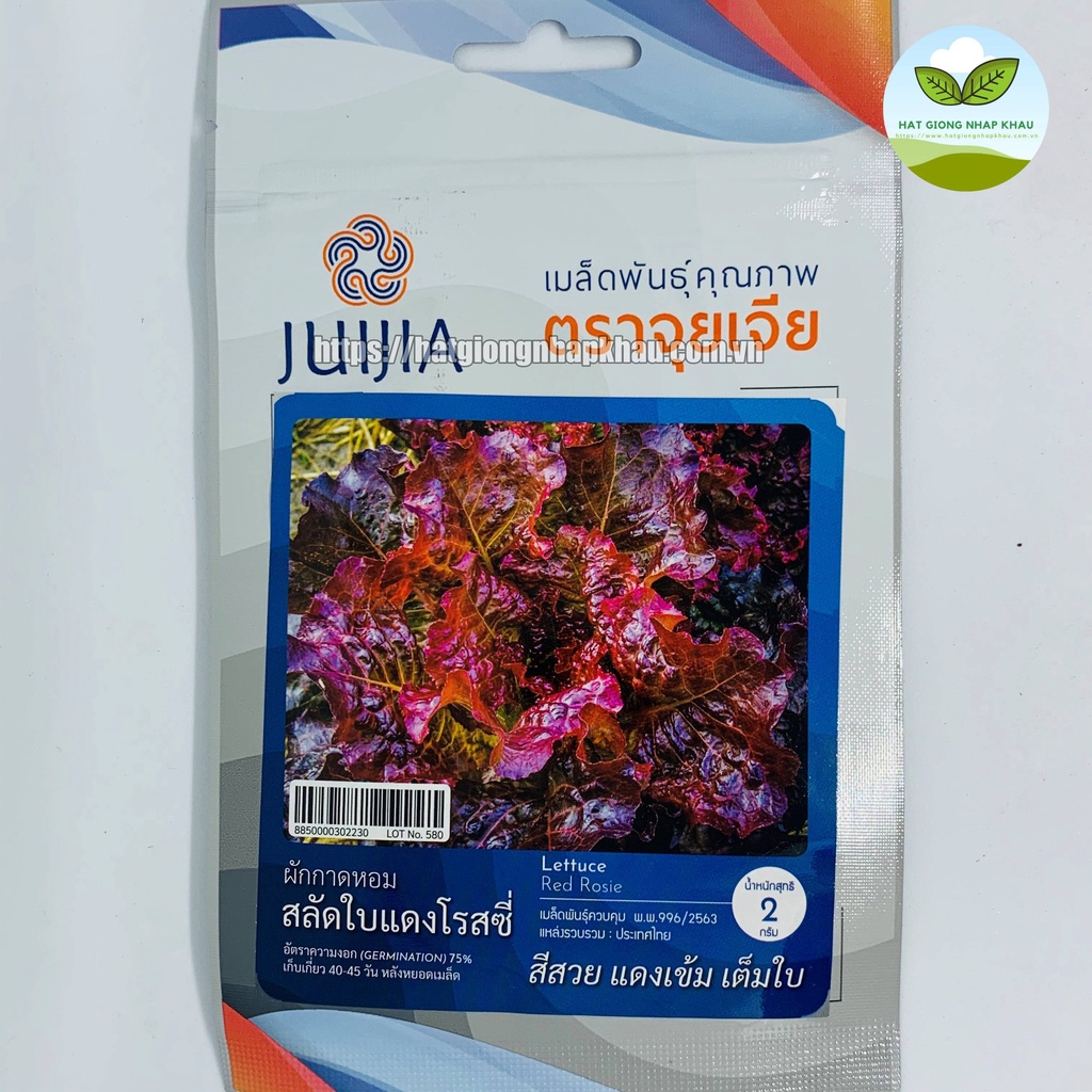Hạt Giống Xà Lách Đỏ Red Roise Thái Lan. 2 gr/ gói. Hàng nhập Thái Lan. Tặng 1 gói với đơn hàng 8 gói.