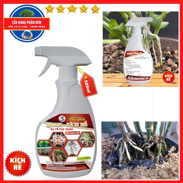 QUICK - KÍCH RỄ: Tăng Cường Ra Rễ Con, Phục Hồi Rễ Hư Tổn, Nở Bụi - Xịt Trực Tiếp - Chai 500 ml