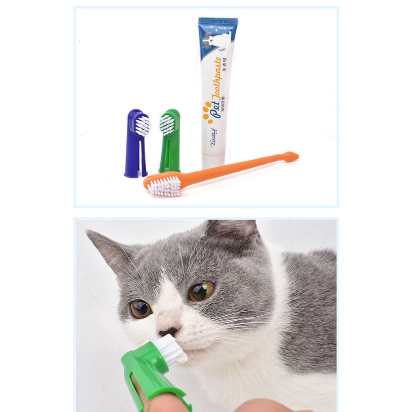 [ RẺ VÔ ĐỊCH ] Bộ bàn chải kem đánh răng cho thú cưng thơm miệng chống sâu răng cao cấp