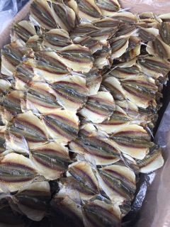 Cá chỉ vàng loại 1( nghệ an)