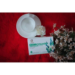 Doctor Queen -Tảo diệp lục collagen
