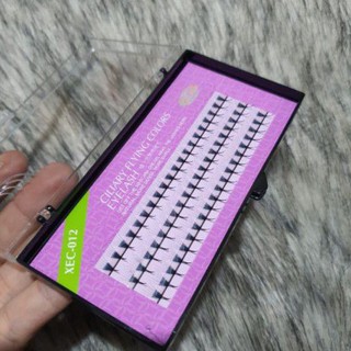 Mi hoa Sơn Trà C007, D007 (từ 8 đến 15)