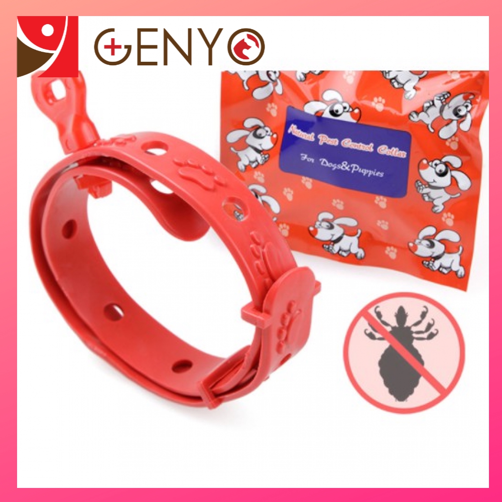 Vòng cổ chống ve Bobo, bọ chét cho chó 2-10kg, Phụ kiện cho chó