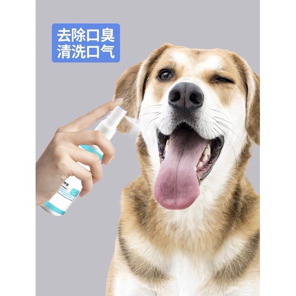 🍄 Xịt Khử Mùi Răng Miệng Chó Mèo Ngăn Mùi Hôi Miêng 120ml 70 Present