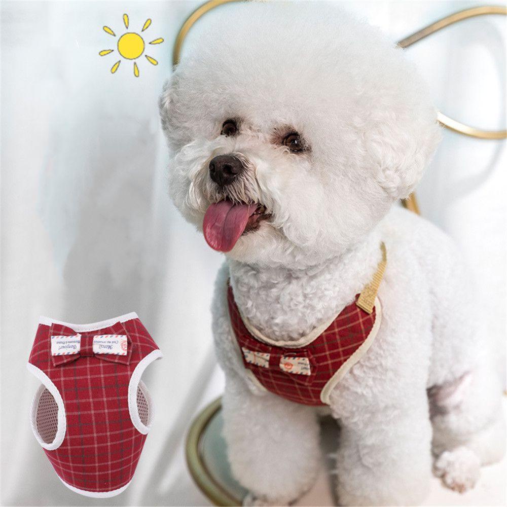 LAYOR1 Dây Dắt Thú Cưng Đi Dạo Kèm Dây Dắt Thiết Kế Dễ Thương LAYOR1