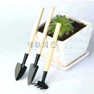 Bộ dụng cụ làm vườn mini 3 món