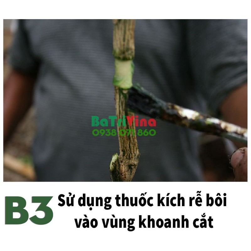 1 Bầu nhựa hộp chiết cành bosavina hỗ trợ chiết cành tạo rễ cực tốt bền hơn 4 năm