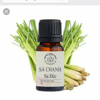 Tinh dầu sả chanh