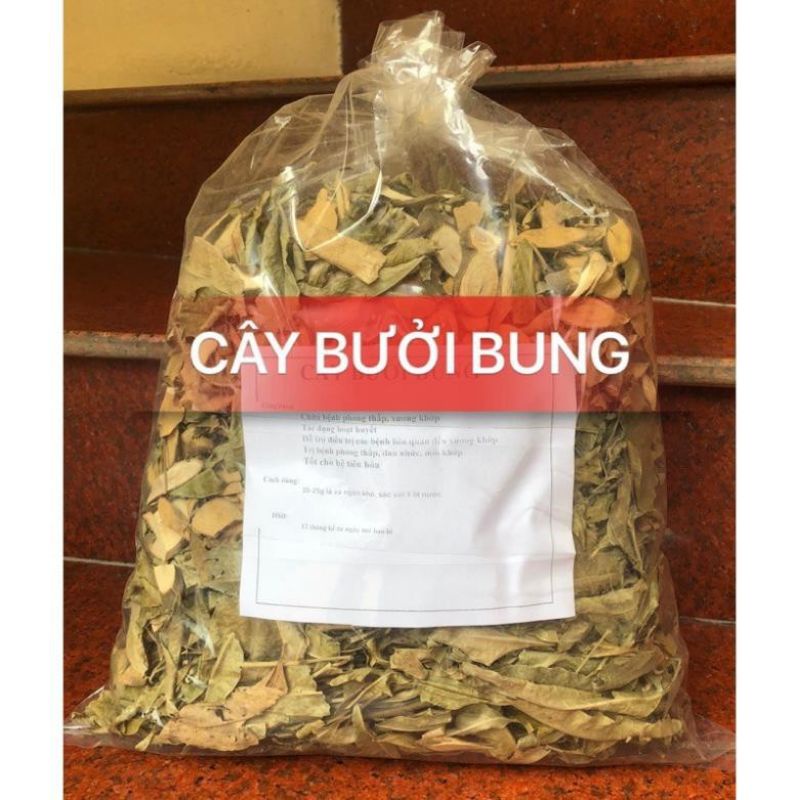 500gr Cây bưởi bung giúp giải cảm.đau nhức.đầy bụng