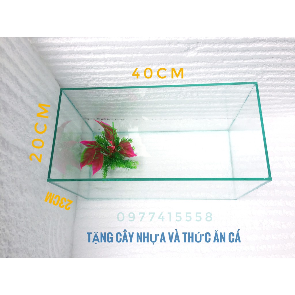 Bể cá cảnh size trung giá rẻ(tặng cây, thức ăn)