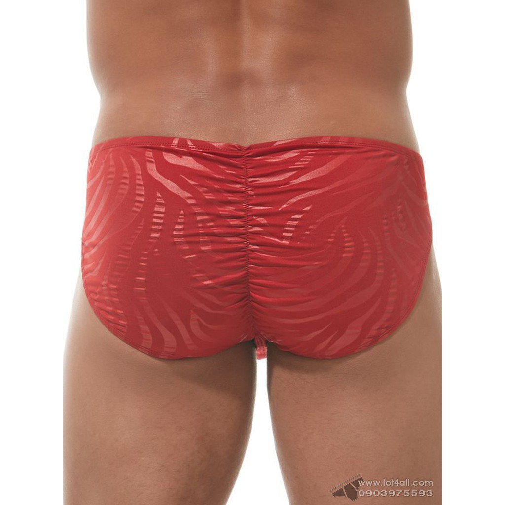 [CHÍNH HÃNG] Quần lót nam Gregg Homme 162203 Hookt Brief Red