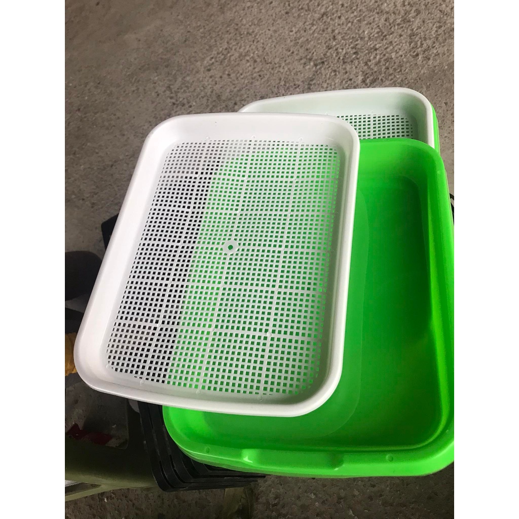 Bộ khay nhựa trồng rau sạch thủy canh, rau mầm size 33x25x4 cm