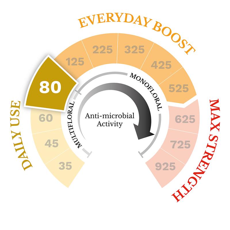 Mật Ong Mạnuka 80+ 500g