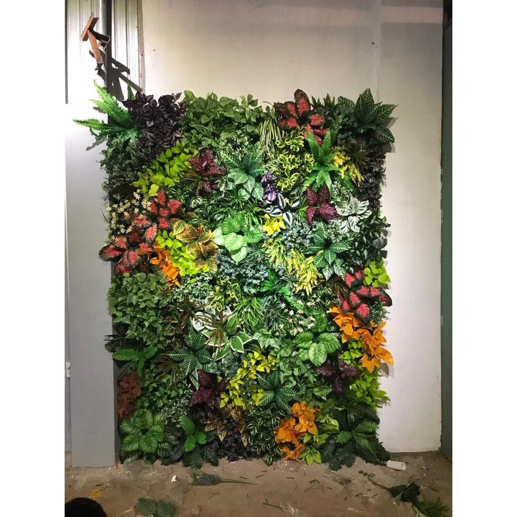 Cỏ treo tường tai chuột kích thước 60cm x 40cm.