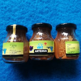 Artemia UHT Thái - thức ăn cho cá ấp sẵn