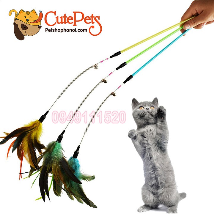 Đồ chơi cho mèo Gậy vờn mèo lò xo gắn lông vũ 55cm - Cutepets