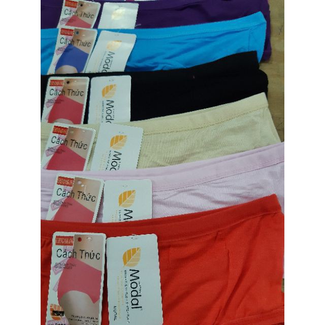 (8008) quần lót moda, to đại chất cotton ,có đủ size ,từ 40_75 kg