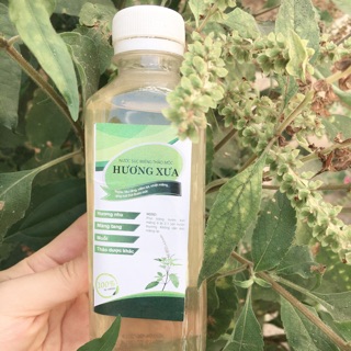 Nước cất súc miệng hương nhu, thảo mộc- 330ml
