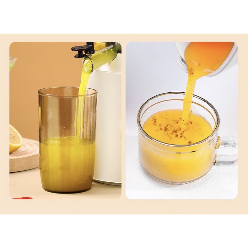 Máy ép chậm cao cấp CHEF&CHEF mã CH-210A.