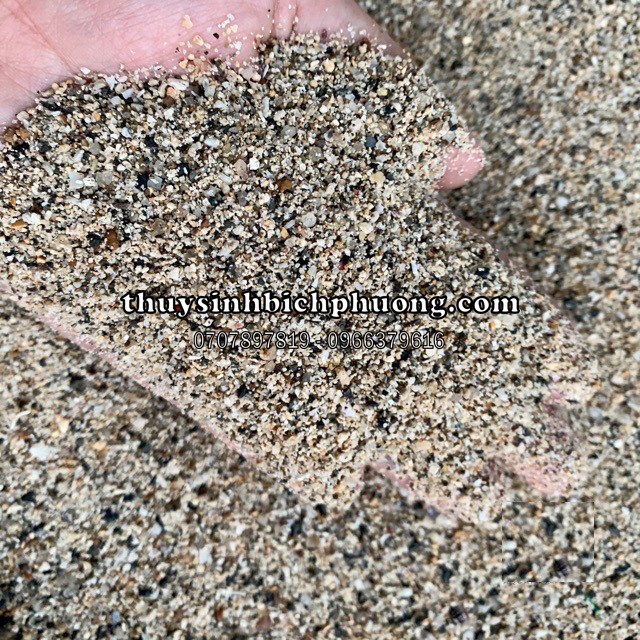 1KG CÁT MUỐI TIÊU -  TRẢI NỀN ĐƯỜNG ĐI TRANG TRÍ BỂ CÁ HỒ THỦY SINH