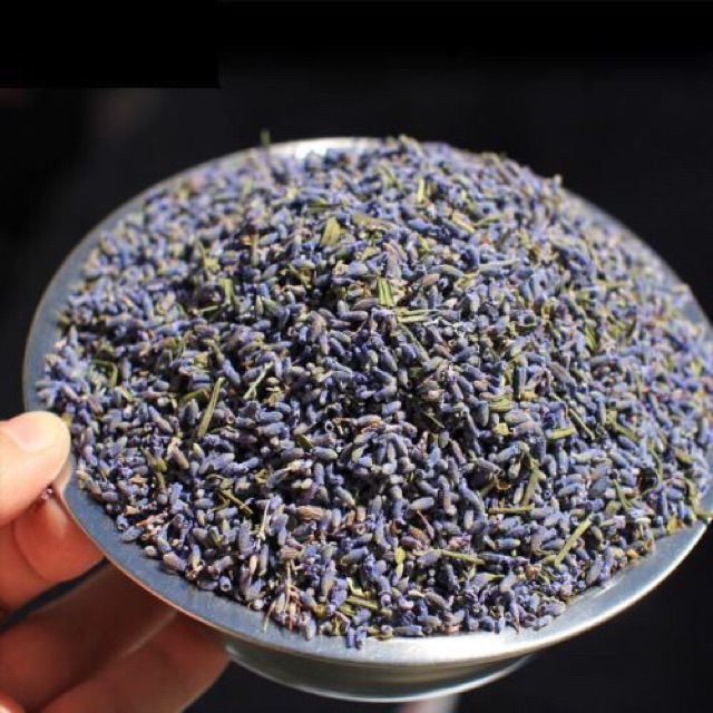 Sỉ trà hoa oải hương lavender hũ như hình