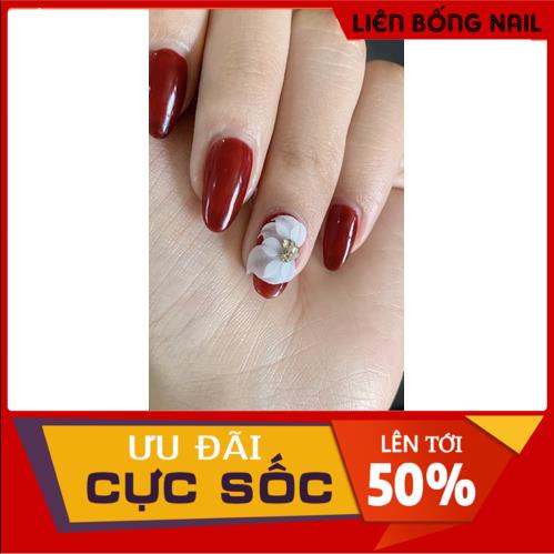 Hoa thanh lý ( nhiều mẫu )