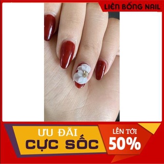 Hoa thanh lý ( nhiều mẫu )