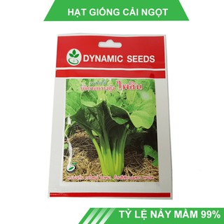 Hạt giống cải ngọt khổng lồ Thái Lan dễ trồng, tỉ lệ nảy mầm 99%, thu hoạch sau 35-40 ngày