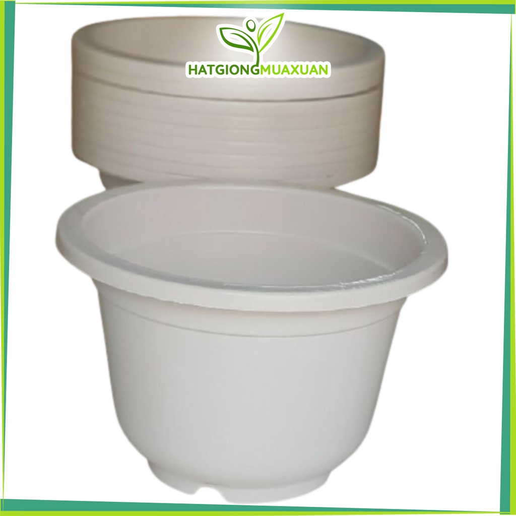 Chậu trồng hoa kèm quai rộng 17cm x12cm giá tại xưởng c/lượng, hg C/ty.