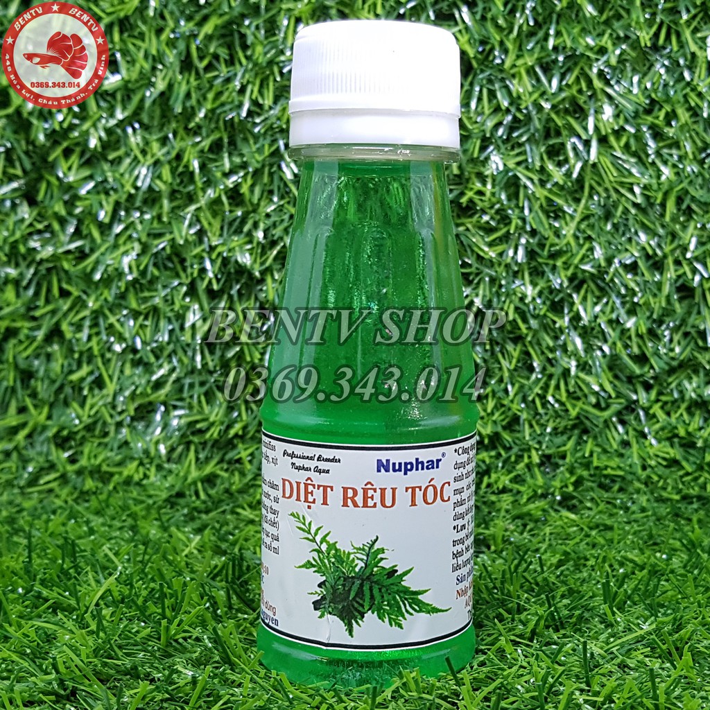 Dung Dịch Diệt Rêu Tóc - Xử Lý Rêu Hại Trong Hồ Thủy Sinh