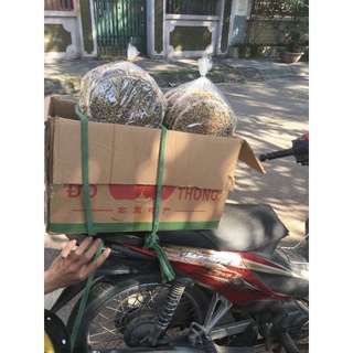 Com bo 50 Bánh Đa Đô Lương Nướng
