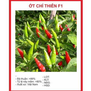 Hạt Giống Ớt Chỉ Thiên Siêu Cay hạt giống bốn mùa